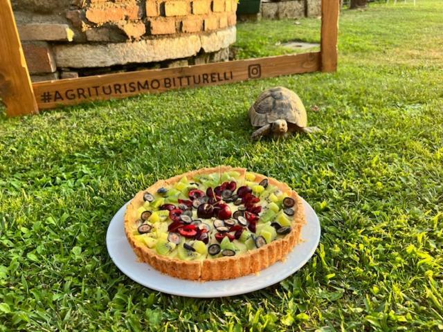 Agriturismo Bitturelli Понти-суль-Минчо Экстерьер фото